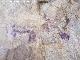 Pinturas rupestres de la Cueva de los Molinos