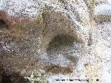 Pinturas rupestres de la Cueva de los Molinos. Molino