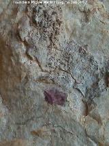 Pinturas rupestres de la Cueva de los Molinos. Mancha