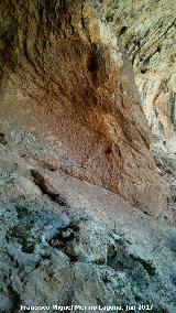 Pinturas rupestres de la Cueva de los Molinos. 