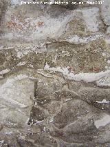 Pinturas rupestres de la Mella I. Manchas del techo