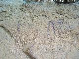 Pinturas rupestres del Abrigo de Vtor I. Antropomorfo en cruz y pectiniforme de la derecha