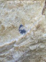 Pinturas rupestres de la Cueva de las Fras. Punto