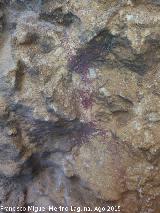 Pinturas rupestres del Abrigo de la Serrezuela. Antropomorfo Y y restos de pinturas