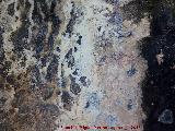 Pinturas rupestres del Abrigo de Manolo Vallejo. Grupo IV