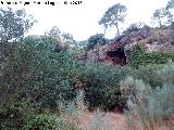 Cueva Baja de la Rinconada de los Acebuches. 
