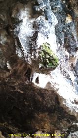 Cueva del Jabonero. Formaciones rocosas