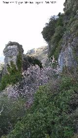 Cueva del Jabonero. Recinto de la cueva