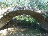 Puente romano del Caamares. 