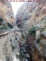 Desfiladero del Gaitanejo. Puente del Rey