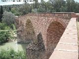 Puente Renacentista. 