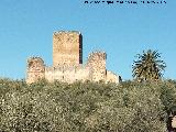 Castillo de la Aragonesa. 