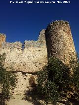 Castillo de la Aragonesa. Lienzo y torren circular