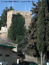 Torre de Nuvalos. 