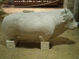 Toro Ibero de Arjona. Museo Arqueolgico Ciudad de Arjona