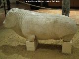 Toro Ibero de Arjona. Museo Arqueolgico Ciudad de Arjona