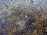 Pinturas rupestres del Abrigo del Puerto. Dos zooformos superiores
