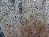 Pinturas rupestres del Abrigo del Puerto. Parte alta del panel