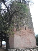 Castillo de Peolite. 