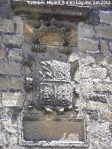 Palacio de los Mendoza. Escudo de los Camarasa
