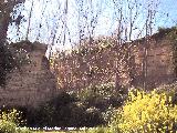 Castillo de Aldehuela. Muros de tapial. Restos del castillo