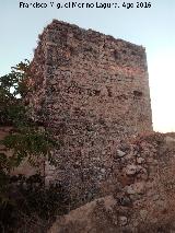 Castillo de Aldehuela. 