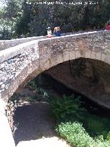 Puente Espinosa. 