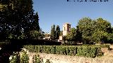 Alhambra. Medina. Jardines con el Convento de San Francisco al fondo