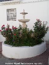 Fuente de la Avenida de Andalucia de Solera. 