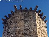 Castillo de las Torres Oscuras. Matacn