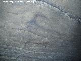 Pinturas rupestres de la Cueva del Morrn. Cprido negro