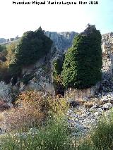 Aznaitn. Rocas cubierta de yedra en la parte de Jimena