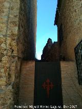 Castillo de Torres. Entrada