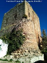 Castillo de Torres. 