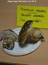 Boleto amargo - Tylopilus felleus. Navas de San Juan