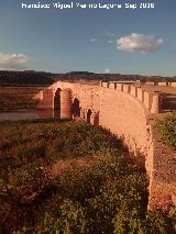 Puente Ariza. 