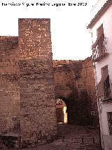 Puerta del Losal. 
