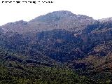 Cerro Cerezuelo. 