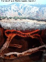Ecomuseo de la Cueva de los Murcilagos. Maqueta