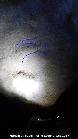 Petroglifos rupestres de la Cueva de los Murcilagos. Zooformo