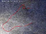 Petroglifos rupestres de la Cueva de los Murcilagos. Cabeza de felino