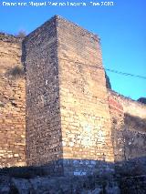Torren de Saludeja II. 