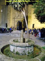 Fuente de la Plaza Sol. 