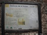 Fundicin La Tortilla. Cartel