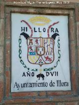 Convento de San Pedro de Alcntara. Escudo