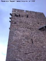 Castillo de La Moraleja. Matacanes del torren menor