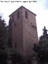 Castillo de La Moraleja. Torre del Homenaje con su acceso elevado y su matacn cubierto protegiendo la entrada