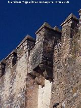 Castillo de la Fuensanta. Matacn