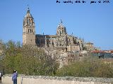 Catedrales de Salamanca. 