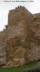 Muralla de Salamanca. Torren cuadrangular